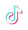 TikTok Organic